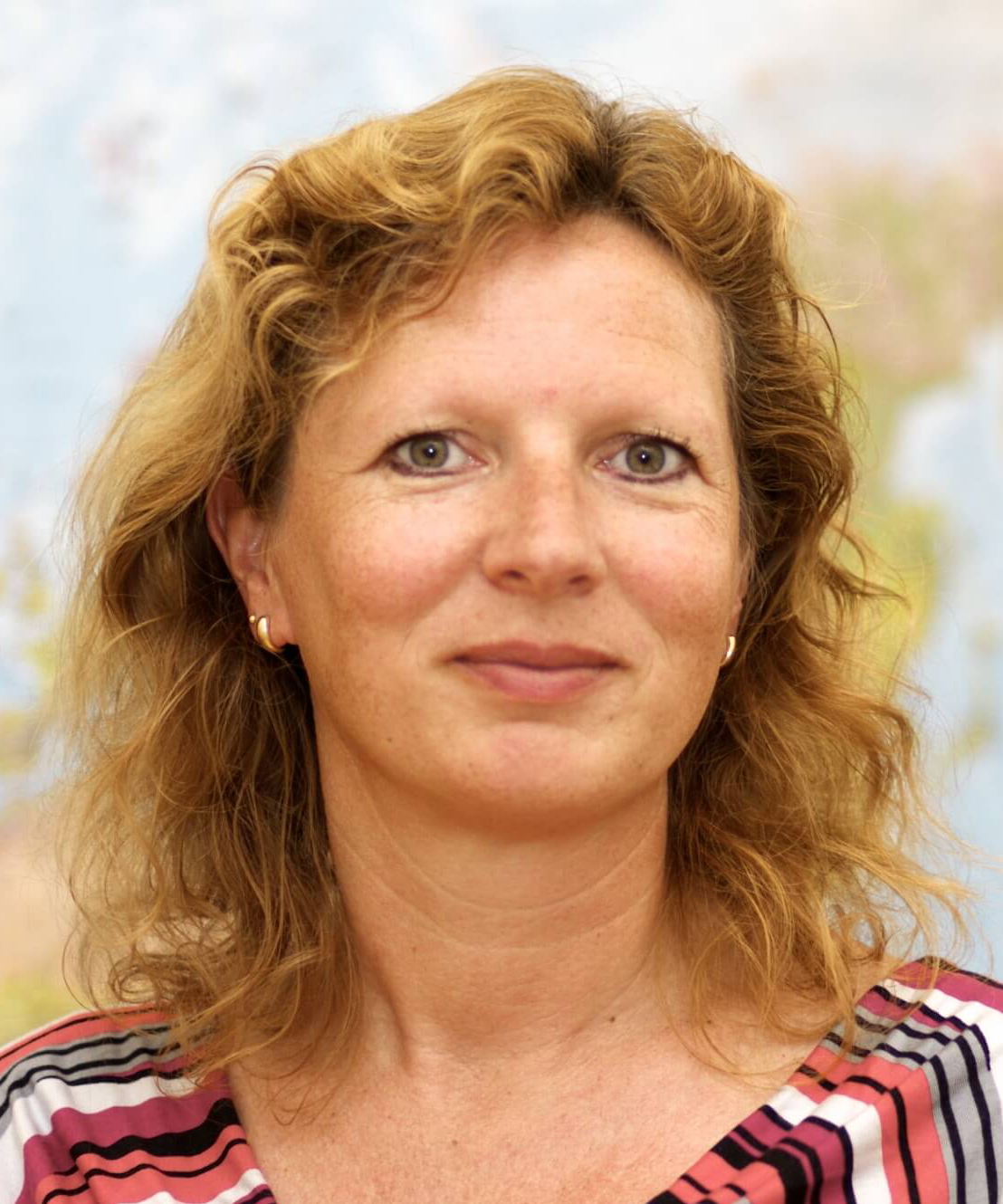 udi